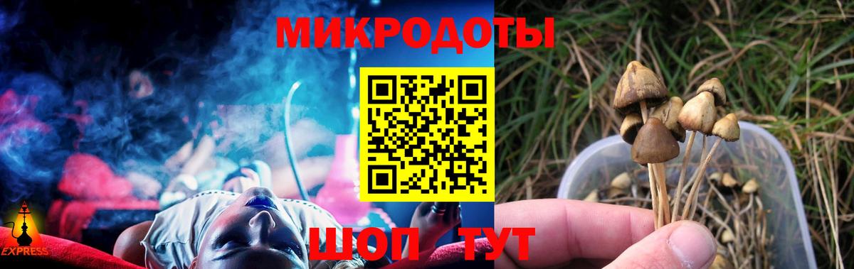 Галлюциногенные грибы прущие грибы Грозный